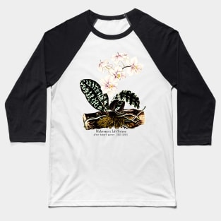 Phalaenopsis Schilleriana Baseball T-Shirt